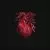 More Heart Than Brains von Bike for Three!