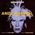 Andy Warhol: A Documentary von Brian Keane