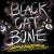 What a Way to Make a Living von Black Cat Bone