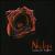 Looking for Answers von Nizlopi