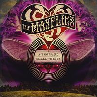 Thousand Small Things von The Mayflies