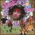 All Good Pirates Go to Hawaii von Chuck & the Hulas