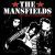 Loud, Fast, Punk, Trash, Rock 'n' Roll von Mansfields