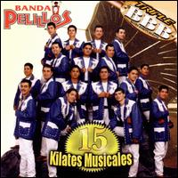 15 Kilates Musicales von Banda Pelillos