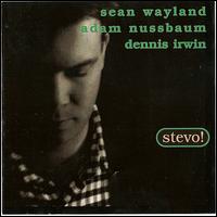 Stevo von Sean Wayland