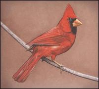 Old Crows/Young Cardinals von Alexisonfire