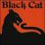 Black Cat von Black Cat