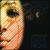 Day & Night von Adrienne Woods