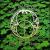 Four Leaf Clover von Four Celtic Voices