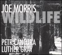 Wildlife von Joe Morris