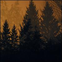 Above the Earth, Below the Sky von If These Trees Could Talk