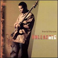 Unleashed von David Dyson