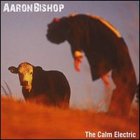Calm Electric von Aaron Bishop