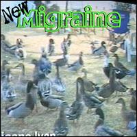 161 - Ducks von Migraine