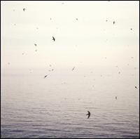 Your Naked Ghost Comes Back at Night von On