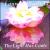 Light Has Come von Laura Warfield