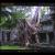 Angkor von Michel Huygen