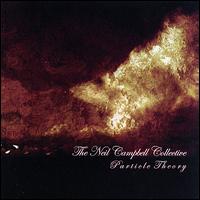 Particle Theory von Neil Campbell