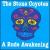 Rude Awakening von The Stone Coyotes