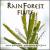 Rainforest Flute von Ron Korb