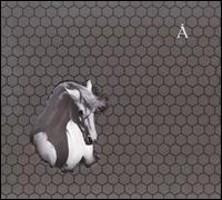 Horse White von Boris Grebenshikov