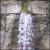 Rivers of Living Waters von Kephas