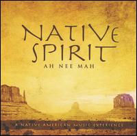 Native Spirit von David Arkenstone