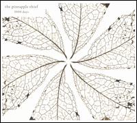 3000 Days von Pineapple Thief