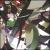Recovered Data 95 von Lucid Dream