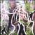 Roots of Time von Hawk Hurst