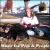 Music for Pets and People von Jamie Glaser