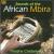Sounds of the African Mbira von Tinashe Chidanyika
