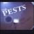 Up for Anything von The Pests