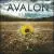 Reborn von Avalon