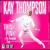Think Pink! A Kay Thompson Party von Kay Thompson