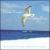 On the Wings of a Song von Frank Bright