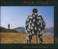 Delicate Sound of Thunder von Pink Floyd