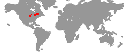 Tournee-Orte von Buckethead