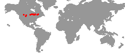 Tournee-Orte von Danger Radio