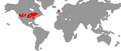 Tournee-Orte von Def Leppard