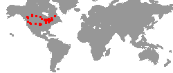Tournee-Orte von Eluveitie