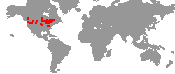 Tournee-Orte von Godsmack