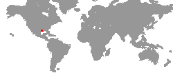 Tournee-Orte von Rubik