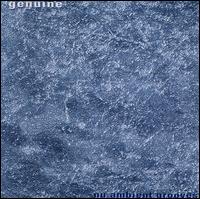Nu Ambient Grooves von Genuine